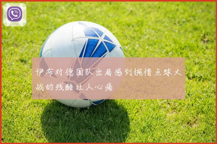 伊布对德国队出局感到惋惜点球大战的残酷让人心痛