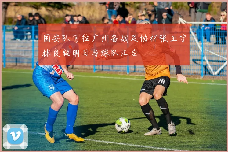 国安队飞往广州备战足协杯张玉宁林良铭明日与球队汇合